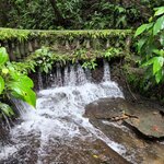 Photo taken by Esther B