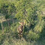 Photo taken by Christopher F