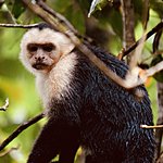 Photo taken by Andy H