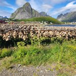 Photo taken by Tamara S