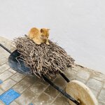 Photo taken by Diana G