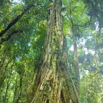 Photo taken by David G