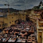 Photo taken by Lisa R