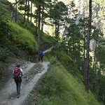 Photo taken by Tyler W