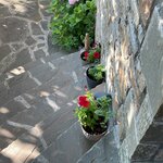 Photo taken by Christine R