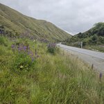 Photo taken by Ruth R