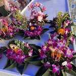 Photo taken by Bailey W