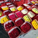 Photo taken by Jayme B