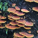 Photo taken by Emelyn J