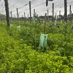 Photo taken by Judah J