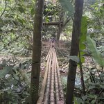 Photo taken by Lisa T