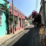 Sophie in the shadows | Photo taken by Sophie E