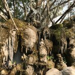 Photo taken by Shaula L