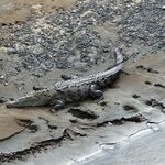 Photo taken by Tenley G