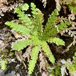 Photo taken by Ben B