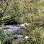 Photo taken by David L