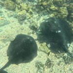 Photo taken by Thomas L