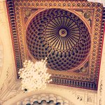 Photo taken by Rachel R