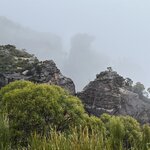 Photo taken by Cindy H