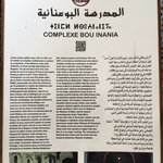 Photo taken by Lisa R