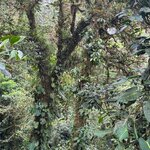 Photo taken by Mandy F