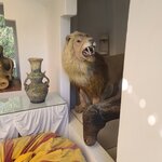 Photo taken by Bailey W