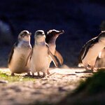 Photo taken by Daniel S