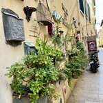 Photo taken by Sarah M