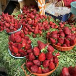 Photo taken by Christine S