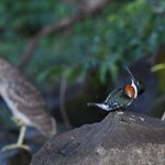 Photo taken by Graeme W