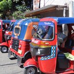 Photo taken by Mark B