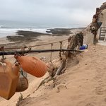 Photo taken by Livia S