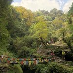 Photo taken by Matthew M