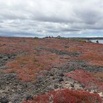 Photo taken by Heather E