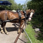 Photo taken by Lauri F