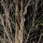 Photo taken by Aaron H