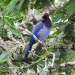 Photo taken by Patricia D