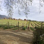 Photo taken by Paul M