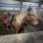 Photo taken by Debbie C