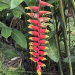 Photo taken by Ora Y