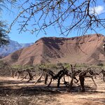 Photo taken by Douglas S