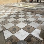 Photo taken by Ellyn A