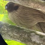 Photo taken by Dana F