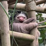 Photo taken by Mandy F