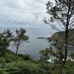 Photo taken by Liz S