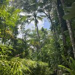 Photo taken by Lisa C