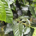 Photo taken by Dana F