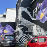 Photo taken by Paula V