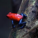 Photo taken by Kelly C