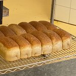 Photo taken by Connie P